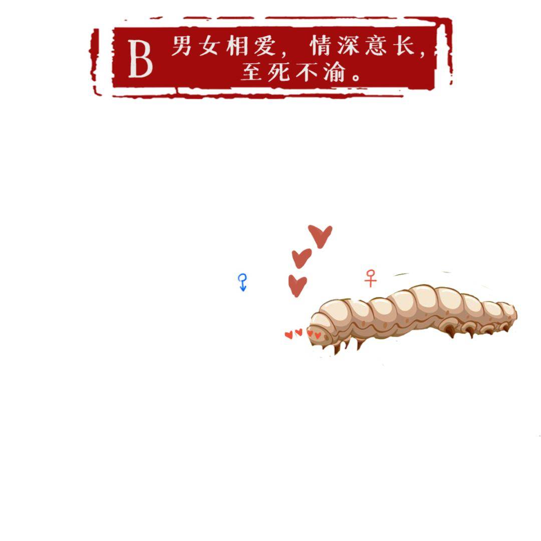 答案|被误解的千古名句“人不为己，天诛地灭”，原句充满正能量