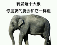 皮筋|小红书，求求你别再骗人了！