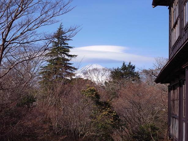 温泉|箱根的温泉那么有名，它们如何登上历史舞台?