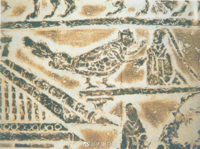 医疗|聚焦“人”的历史： 疾病医疗史研究有何现实意义？