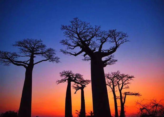 面膜|她的美貌,是后期加工的?