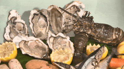 201b141df7e14b5c8f552b95e5713aa8.gif