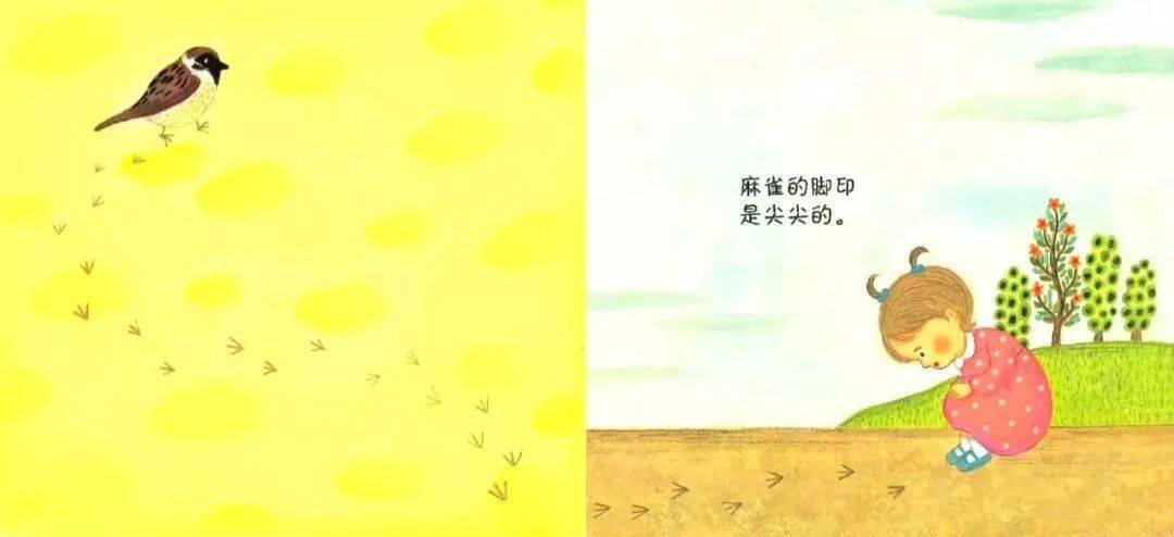 麻雀的脚印是尖尖的.