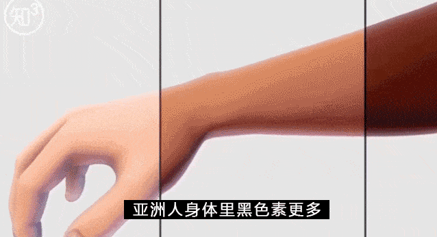 防晒力|“冯女郎”黑历史被扒？！被吹捧“高级”的钟楚曦，变美就靠这？