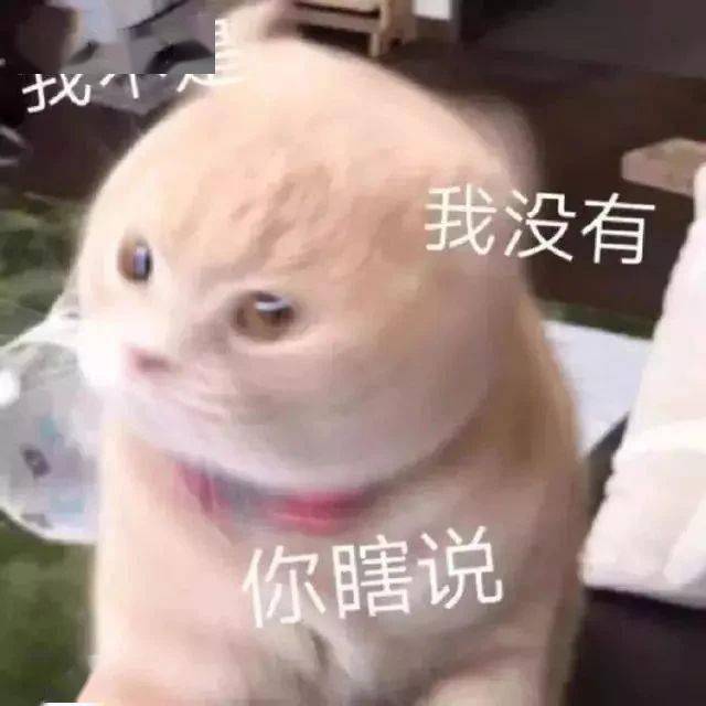 旅游学院|别再说深圳没有好大学了