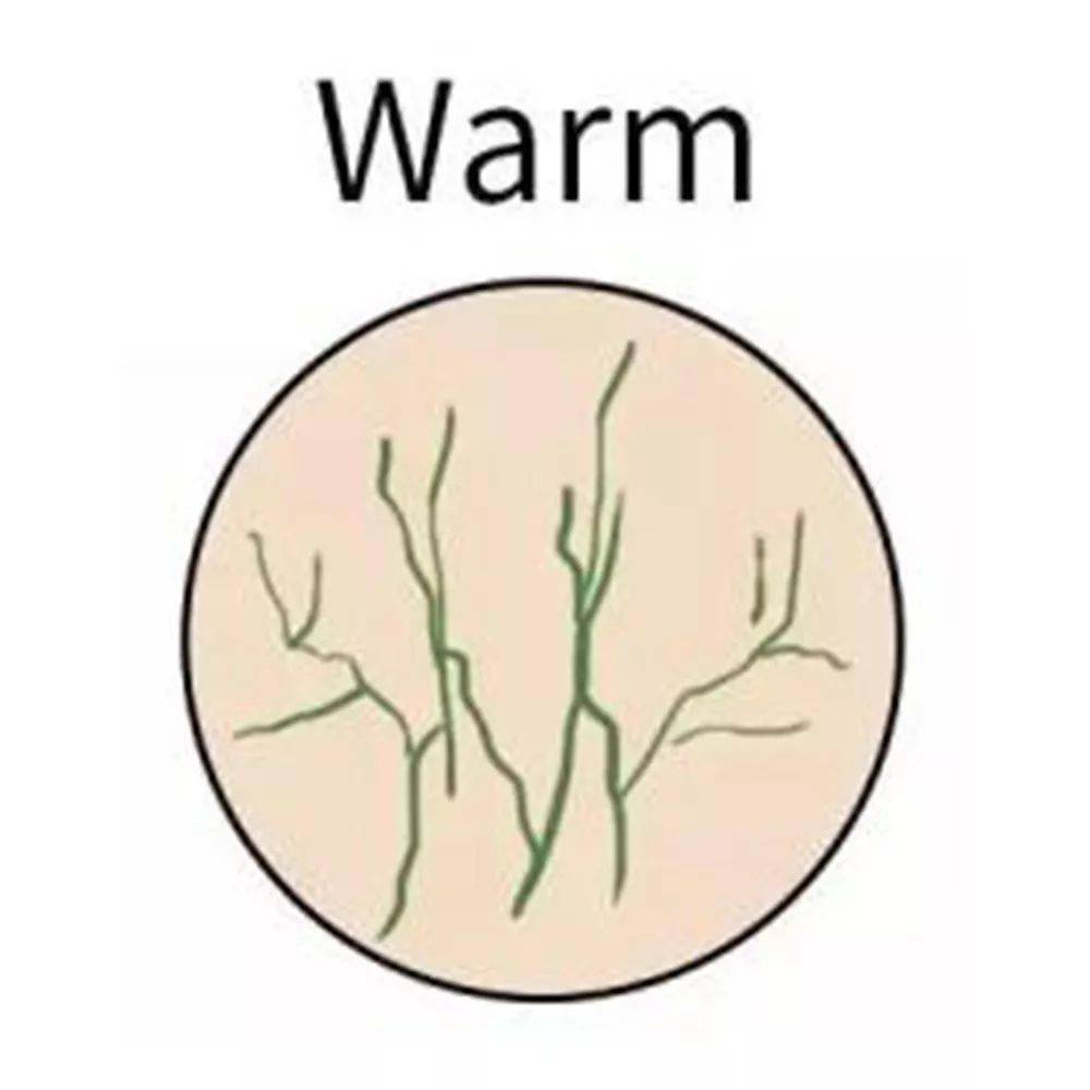 普通人|「发色」也该换季了!选对立刻显白3个度,普通人也能美出惊艳感!