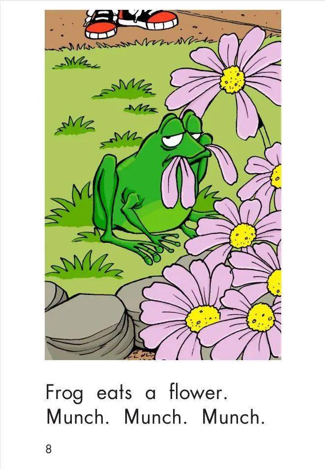 Frog Is Hungry frog-is-hungry