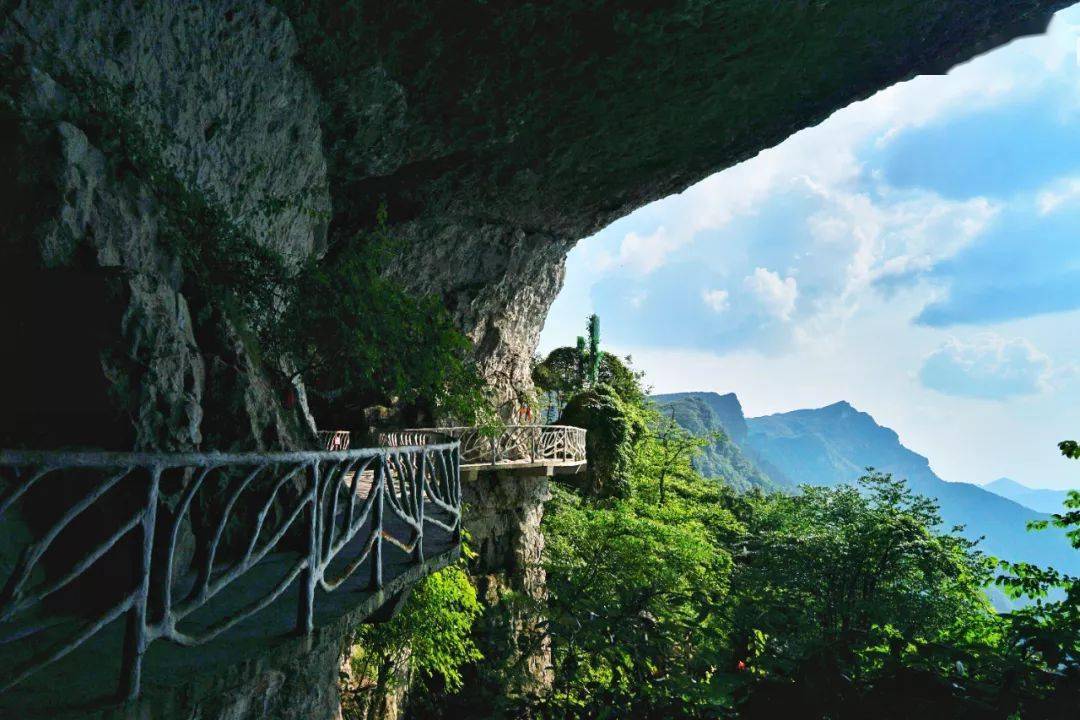 教师节持证到金佛山,神龙峡景区享