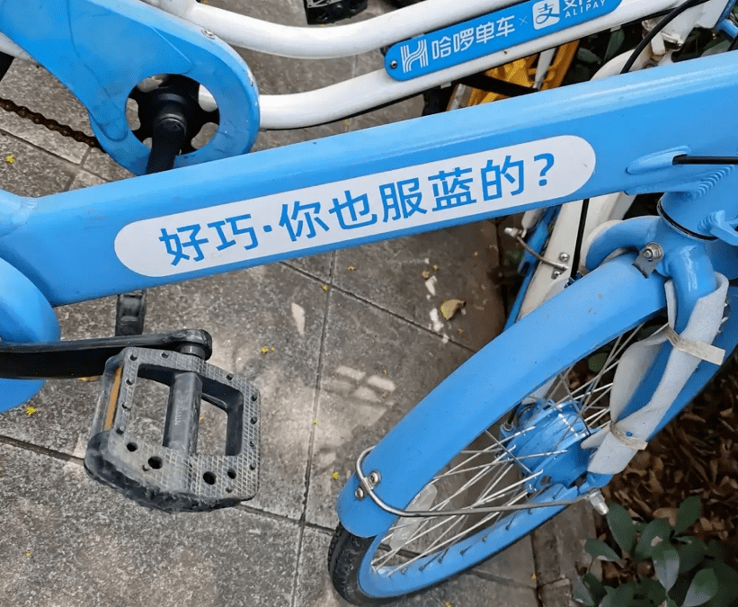 迷惑:湖南的共享单车文案笑死我了_手机搜狐网