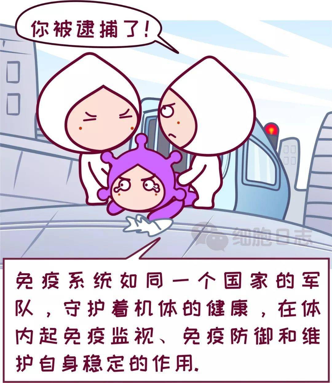 500bbfd5378d4c1cb9a34fcc49e38072.jpeg