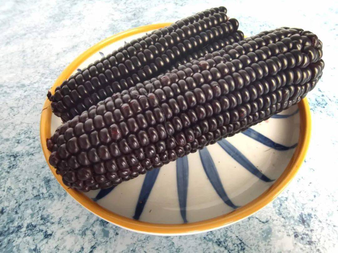 忻州|还有酸甜可口的山楂棒棒糖！超值39.9元丨老少孕妇都爱吃的忻州黑玉米返团