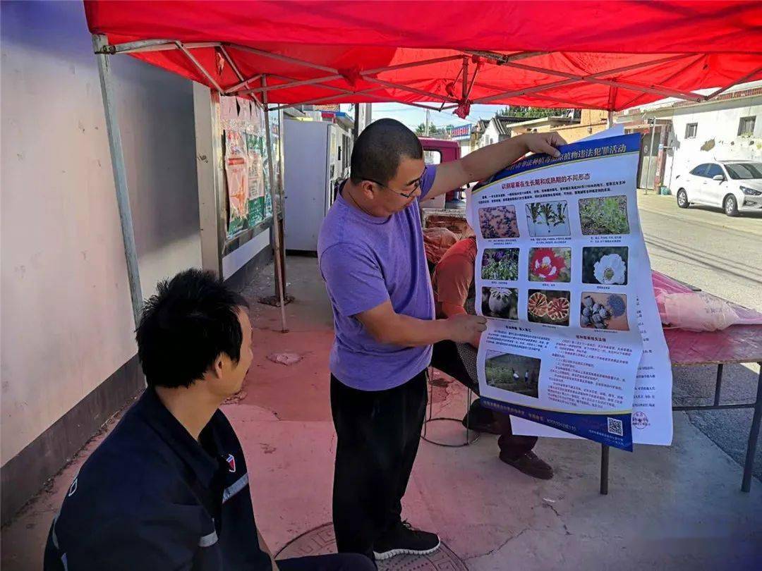 西田各庄镇开展禁种铲毒宣传活动