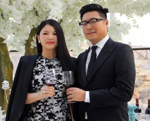 大亨|杨杨:一婚嫁给彩钻大亨,二婚却嫁给出轨男?李湘图什么……