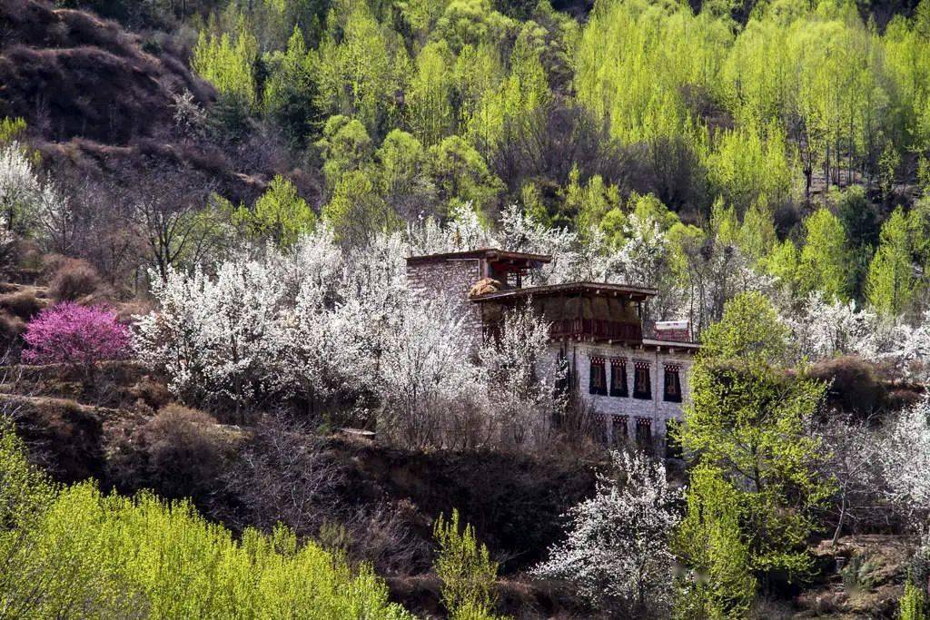 山是什么颜色啊 e9faac251a654fb18332ceccb0312ab9.jpeg