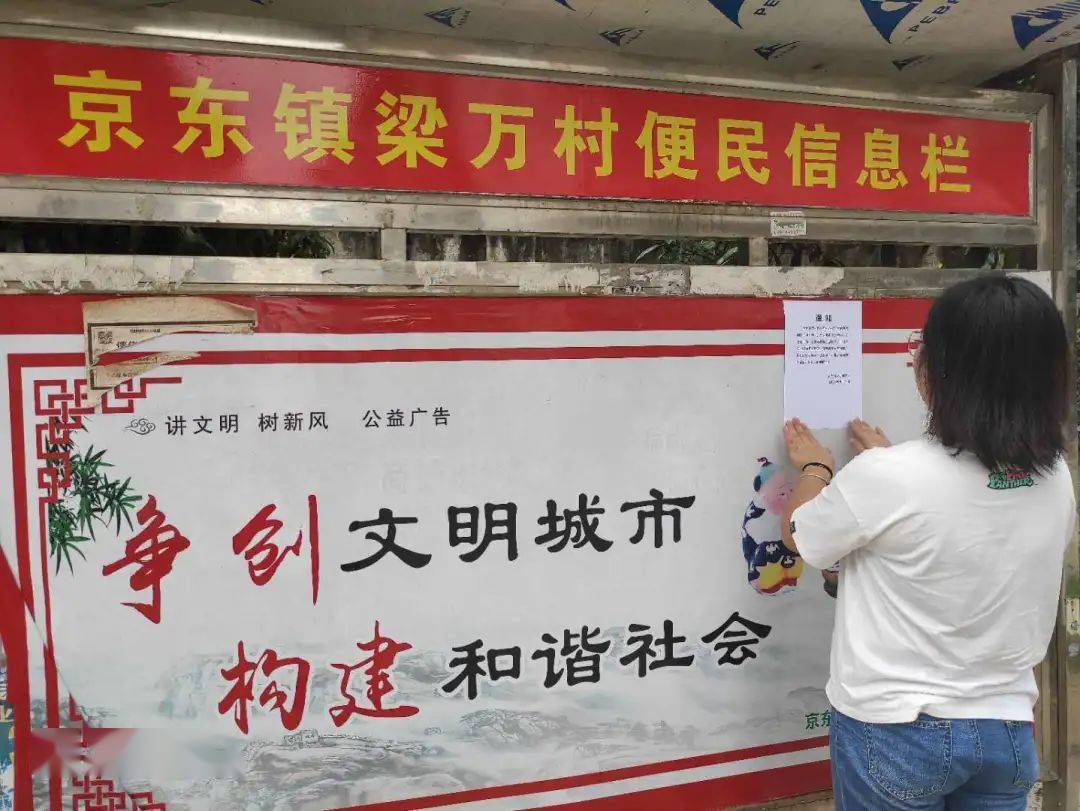 人口普查清查_人口普查(3)