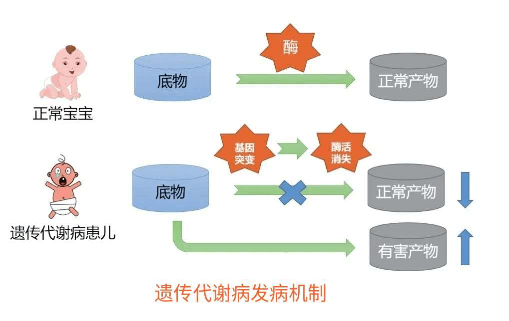 新生儿疾病筛查——宝宝出生后第一道健康"安检"!