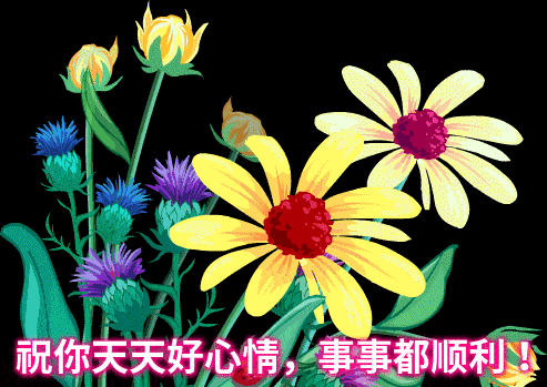 清早问候朋友的早上好暖心句子,非常漂亮早安动态美图