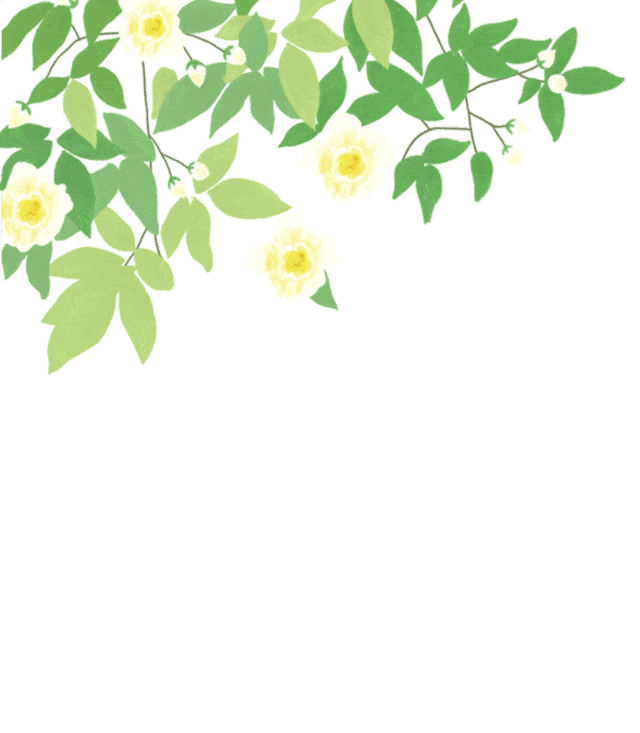 626_719