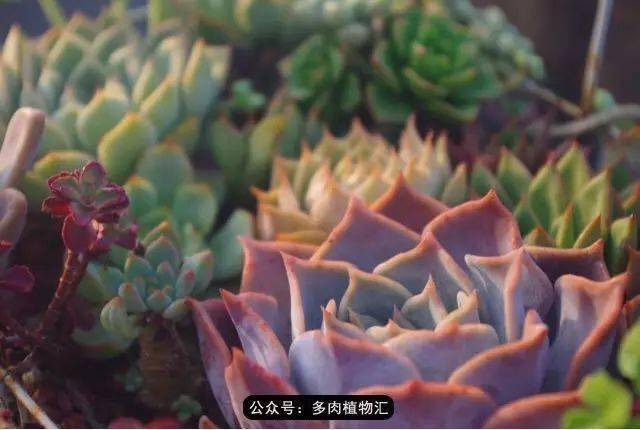 41c6d5c4678447f2b18520e2dc412f02.jpeg