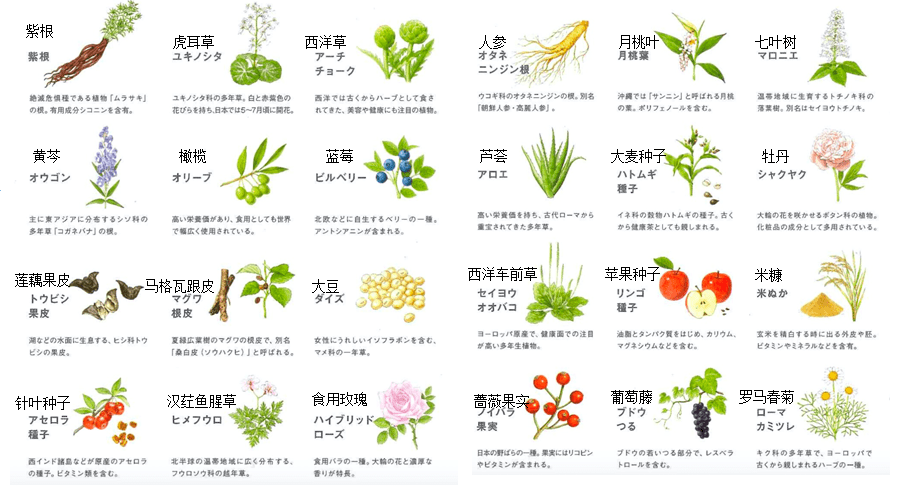 水宝宝|日本家庭主妇最爱的懒人面霜！3分钟让大干皮变成“水宝宝”！每7秒卖出一瓶，李佳琦疯狂打call！