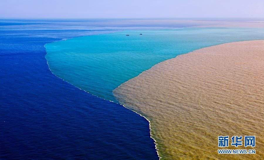 图片来源:新华网 金秋十月 独特的黄河入海口湿地景观 "红地毯" 铺天