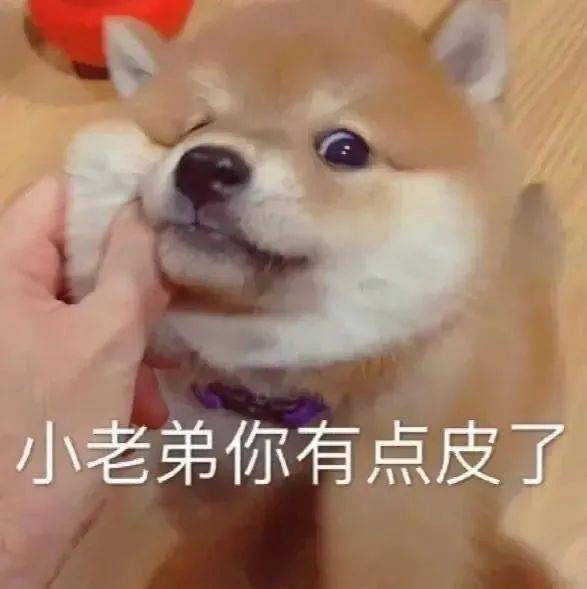 fa8f9bba789245bc8b0b605cac269d19.jpeg