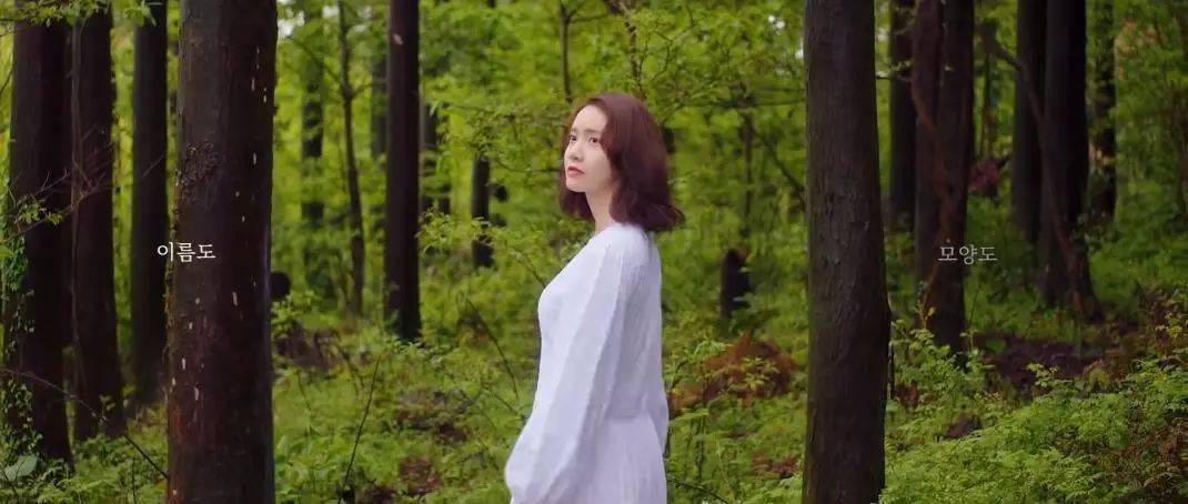 画面|这年头还能边看歌曲MV边学摄影了？太赞了！