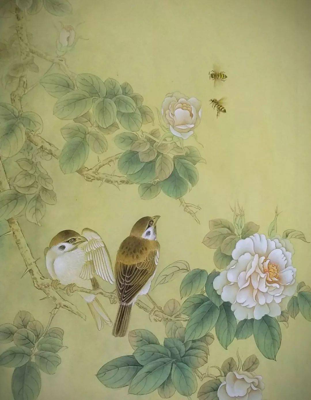 欣赏| 陈松岩新工笔花鸟画80图 质感光影超棒 真美啊