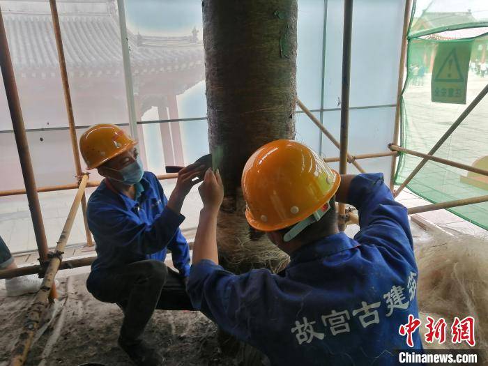 油饰|故宫修缮知多少 工匠“老手”在沈阳故宫“压麻灰”