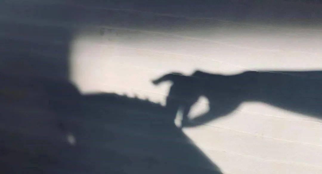 怎么才能让自己内心安定平静 ab3b2cf7f87b4412bd3b3193dc6a7c49.jpeg