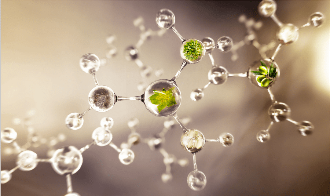 Slay|Slay全场的佳霏姐妹，想不到还有这一面？