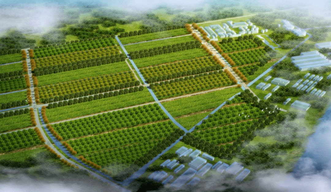 天津市王稳庄镇GDP_天津市西青区王稳庄镇(3)