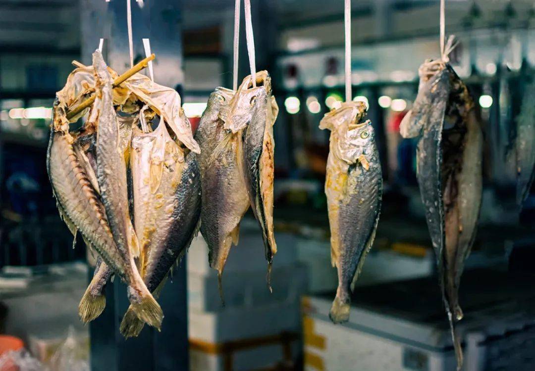 鱼多久不吃饭会被饿死 aec8ad1413dc49a7b3ff5d96d66c7cd0.jpeg