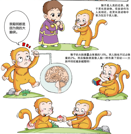 55c20af44d1a4734a4e814cdd08a9df8.png