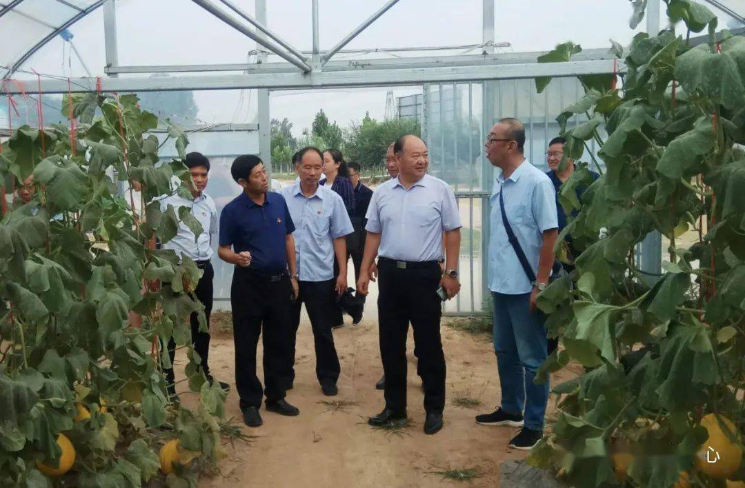 杞县gdp_开封杞县图片(2)