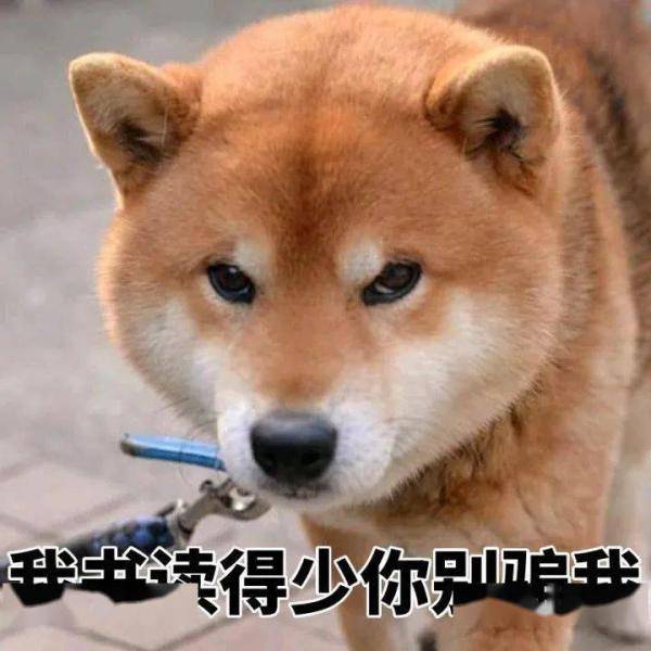 转账|18次转账后，她损失了53万……