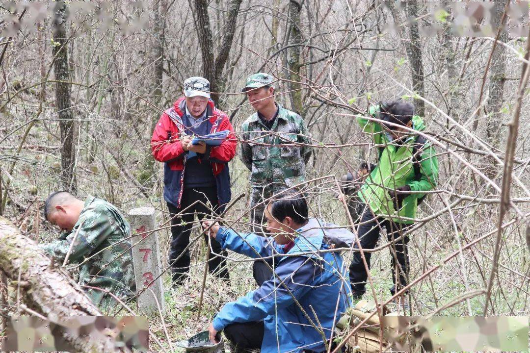 龙山人口_高州粤龙山风景区图片(3)