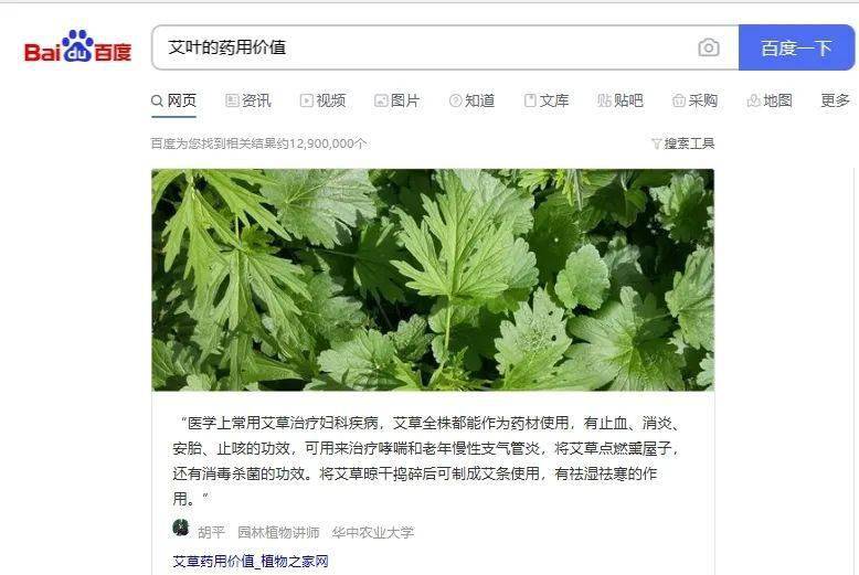 痘痘|夏天变黑长痘不可怕，赶紧用它，让你的皮肤恢复婴儿的光滑，痘痘，黑头，螨虫全都消失了