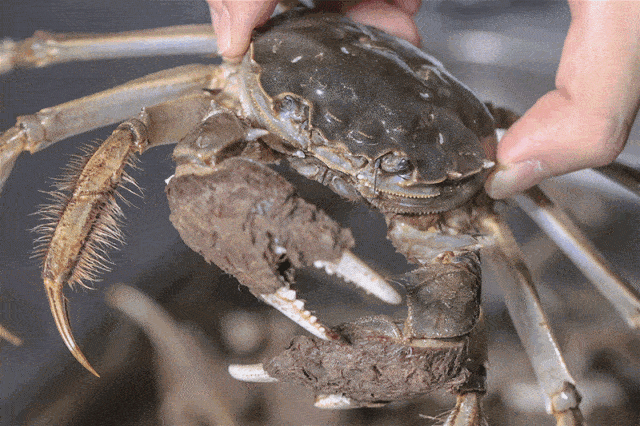 add8a7e112e34bc4a765247bb39a167e.gif