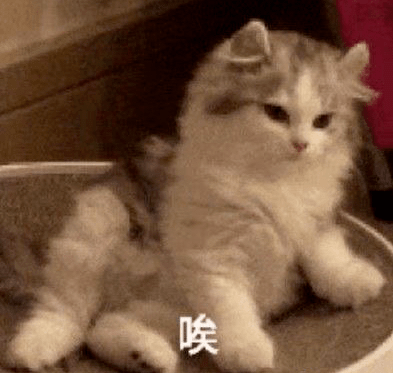 肌肤|又一明星夫妇宣布离婚!多少婚姻毁于这一点!