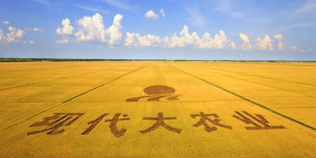 丰收北大荒 中华大粮仓〡十大网红大地号等您来"打卡"