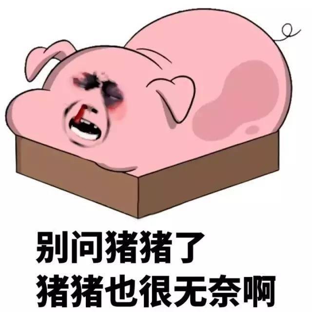 茄子|稳住!南乐猪肉、蔬菜价格又有新变化!