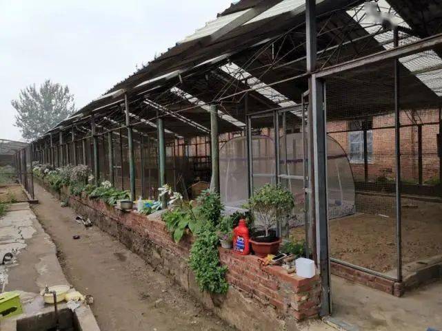 官林镇2020GDP_世界gdp排名2020(3)