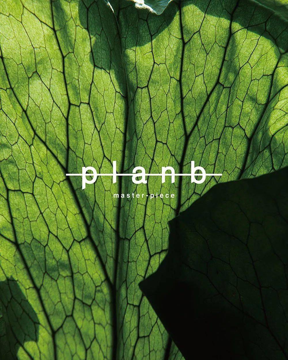 Sacoche|对于 master-piece，你还需要知道两条支线和两位灵魂人物