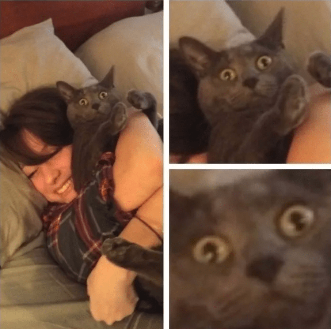 6de0b6909baf4649bf495f3fe9f7e101.png