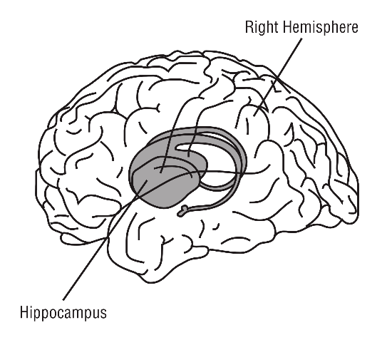 9a3fb5f25f404cacb1bb942a865f439f.png