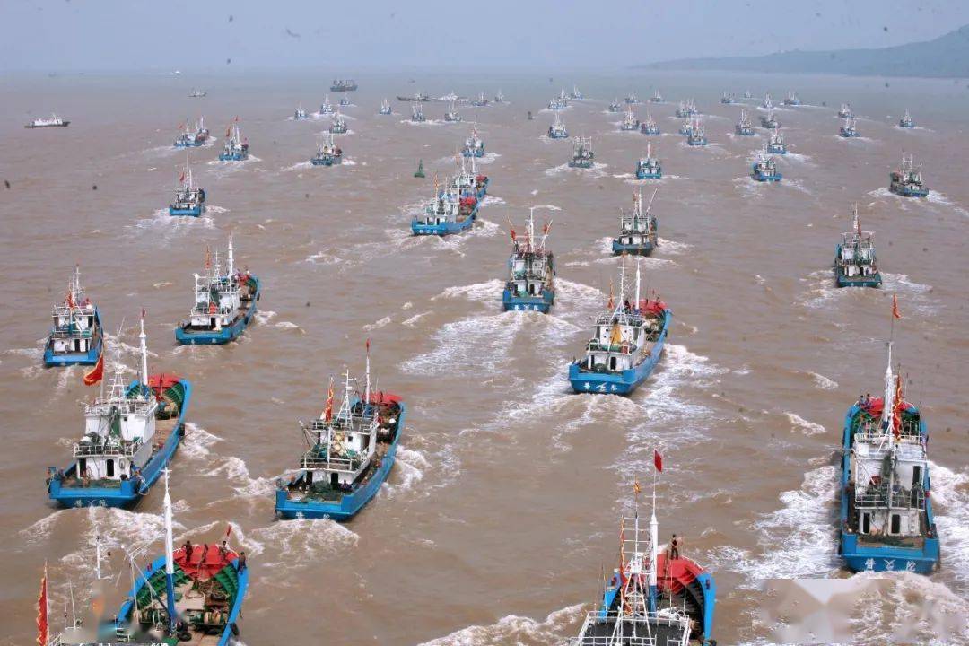 什么时间开海捕捞 a9839d081727489d831b292afc629c88.jpeg