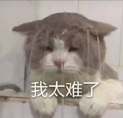 举动|年轻妈妈一个举动,却收获满满祝福孩子晚上哭闹扰民