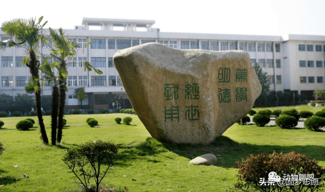 安博体育官网江苏科技大学：天下前150名的院校但依然让人觉得排名低
