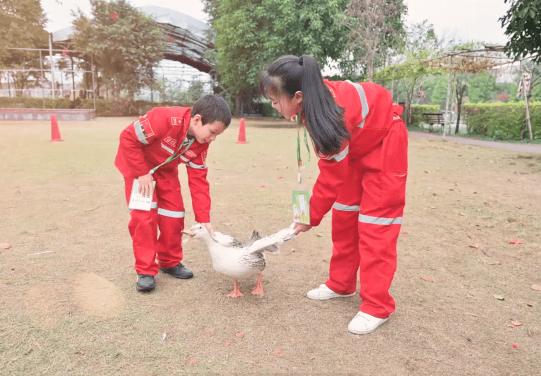 收获成长追逐梦想一起见证周培洋的晋鹰汇之旅